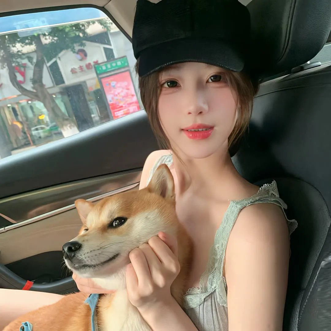 奇迹小雨燕